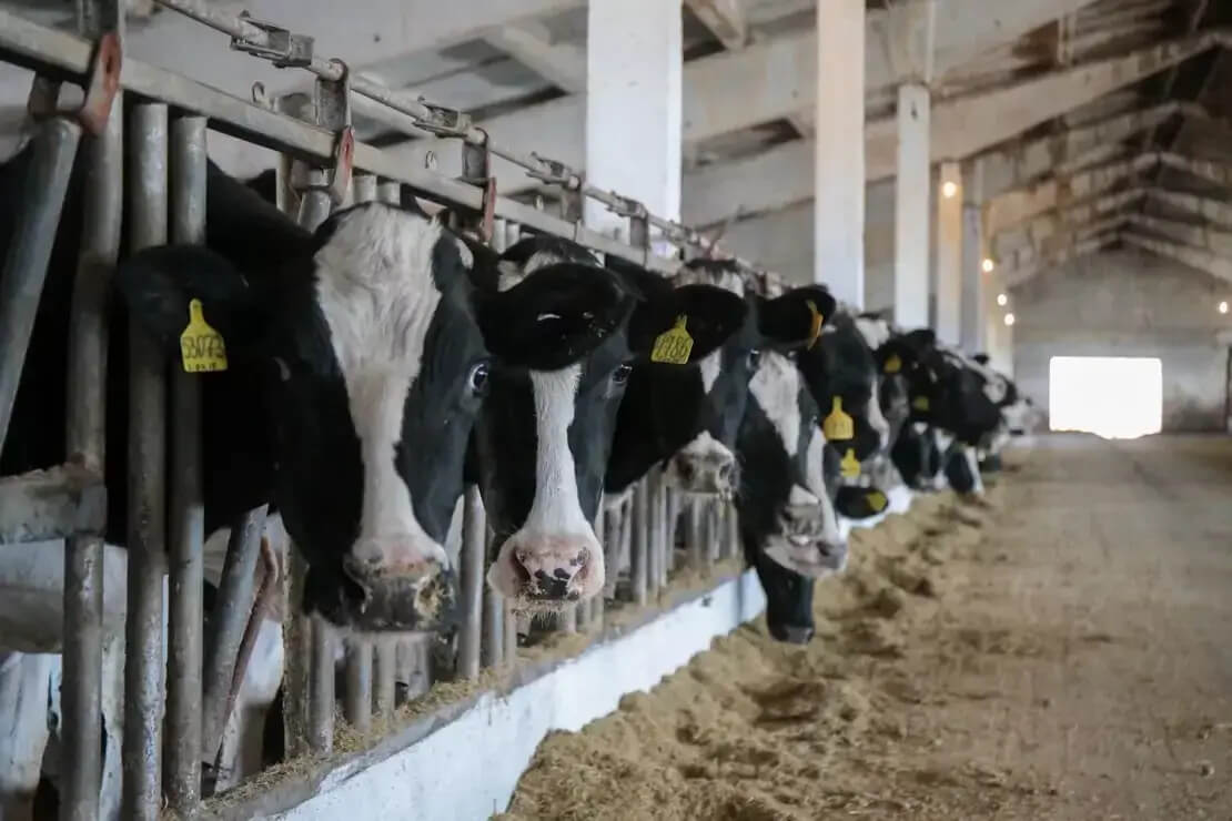 Приглашаем на конференцию!